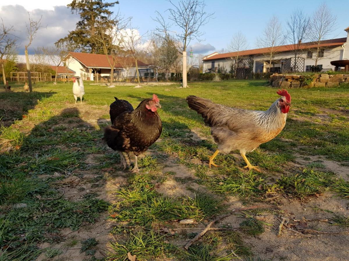 Chateau Des Perichons Poncins エクステリア 写真