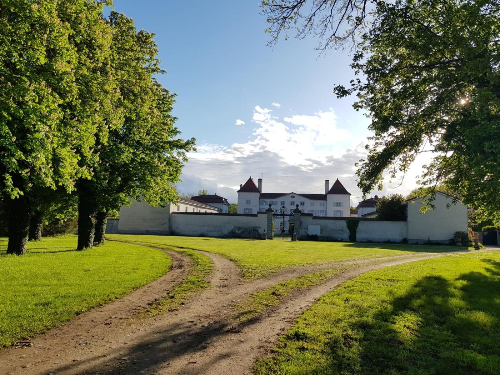 Chateau Des Perichons Poncins エクステリア 写真